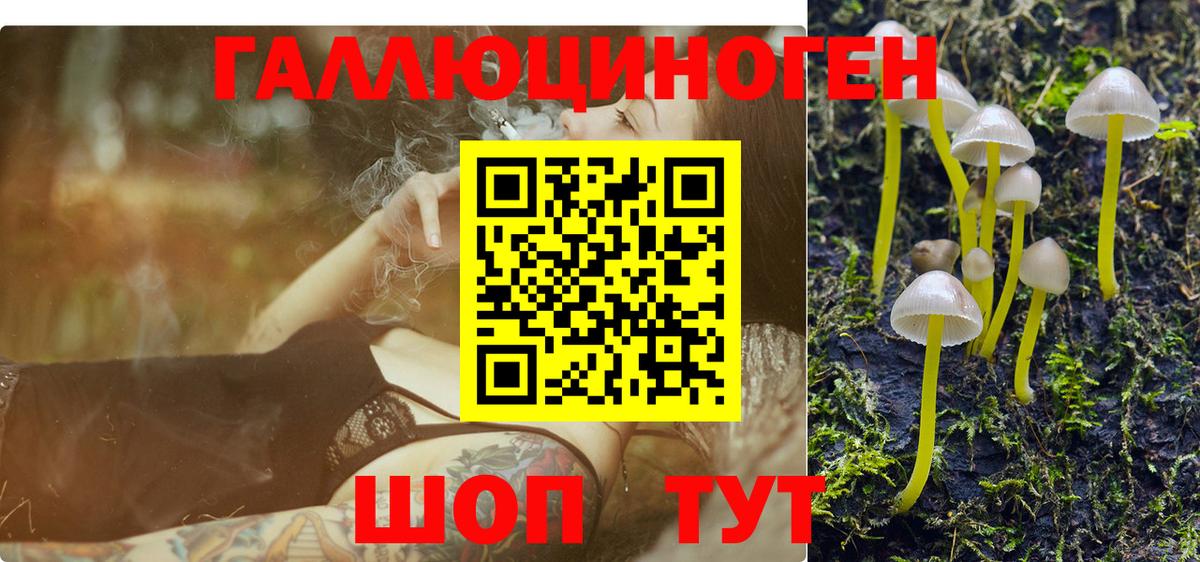 Малоярославец  Псилоцибиновые грибы мицелий  Вход с VPN 