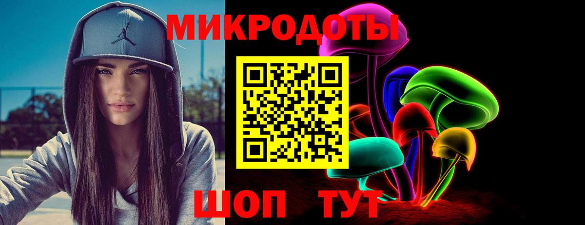 Псилоцибиновые грибы Cubensis Малоярославец