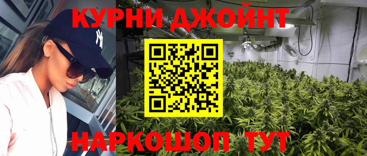 Бошки Шишки план Малоярославец
